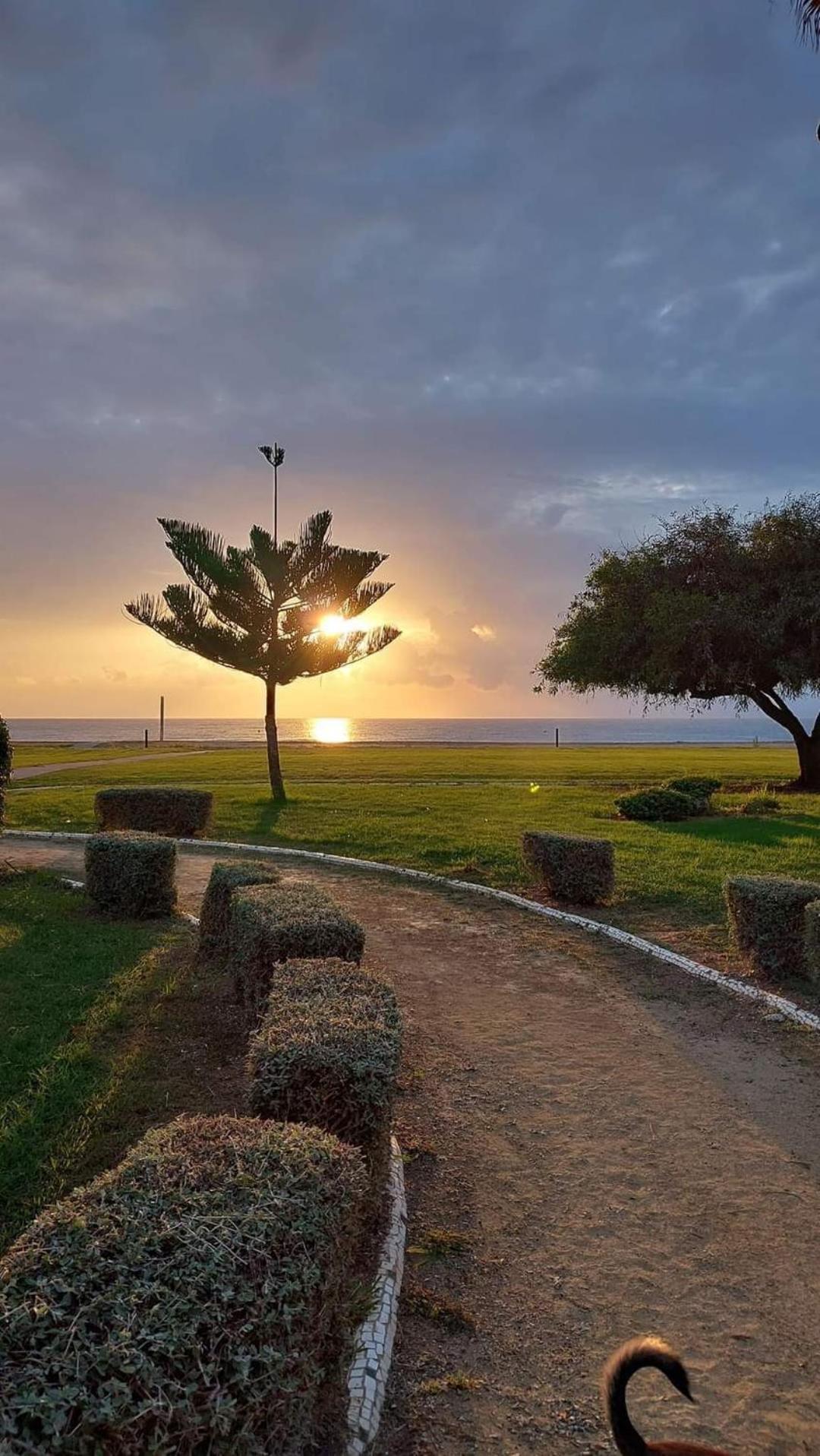 Apartamento Magic World Nueva Marina D'Or 2 Dormitorios Edificio Torremar Oropesa del Mar Εξωτερικό φωτογραφία